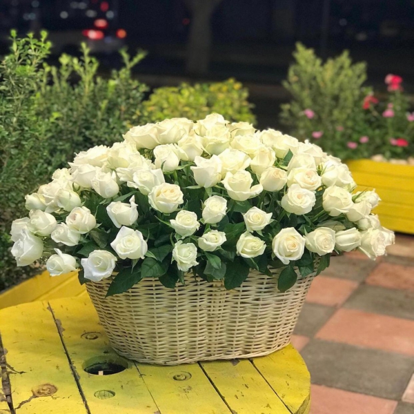 Korb mit 101 weißen Rosen Resim 2