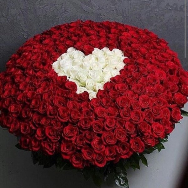 Букет из 200 импортных красных роз с сердечком Resim 1