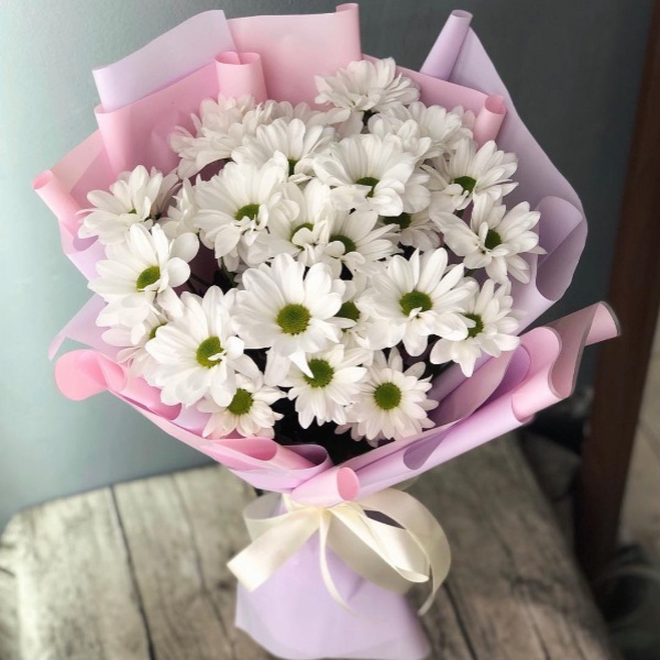 Niedliches weißes Gänseblümchen-Bouquet Resim 1