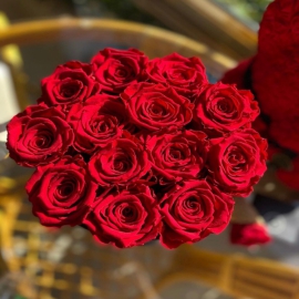  Antalya Blumenlieferung Schachtel mit 13 roten Rosen
