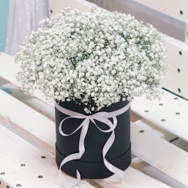  Antalya Blumen Gypsophila im Box