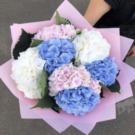  Antalya Flower Delivery Bouquet of 7 hydrangeas