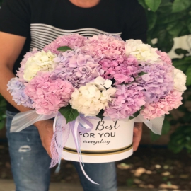  Antalya Flower Delivery Hydrangea Box