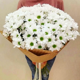  Antalya Blumenlieferung Gänseblümchen strauß