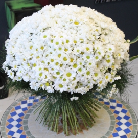  Antalya Blumenlieferung Groß Gänseblümchenstrauß